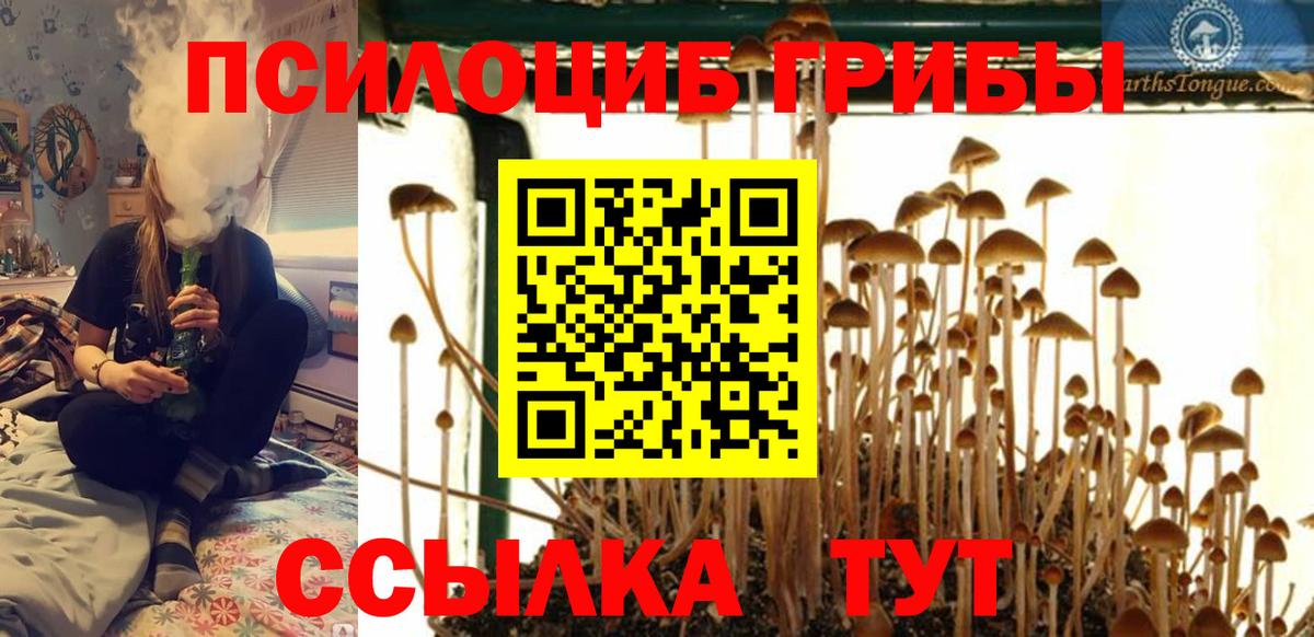 Псилоцибиновые грибы прущие грибы  Вход с VPN  Галлюциногенные грибы Magic Shrooms  Нарткала 